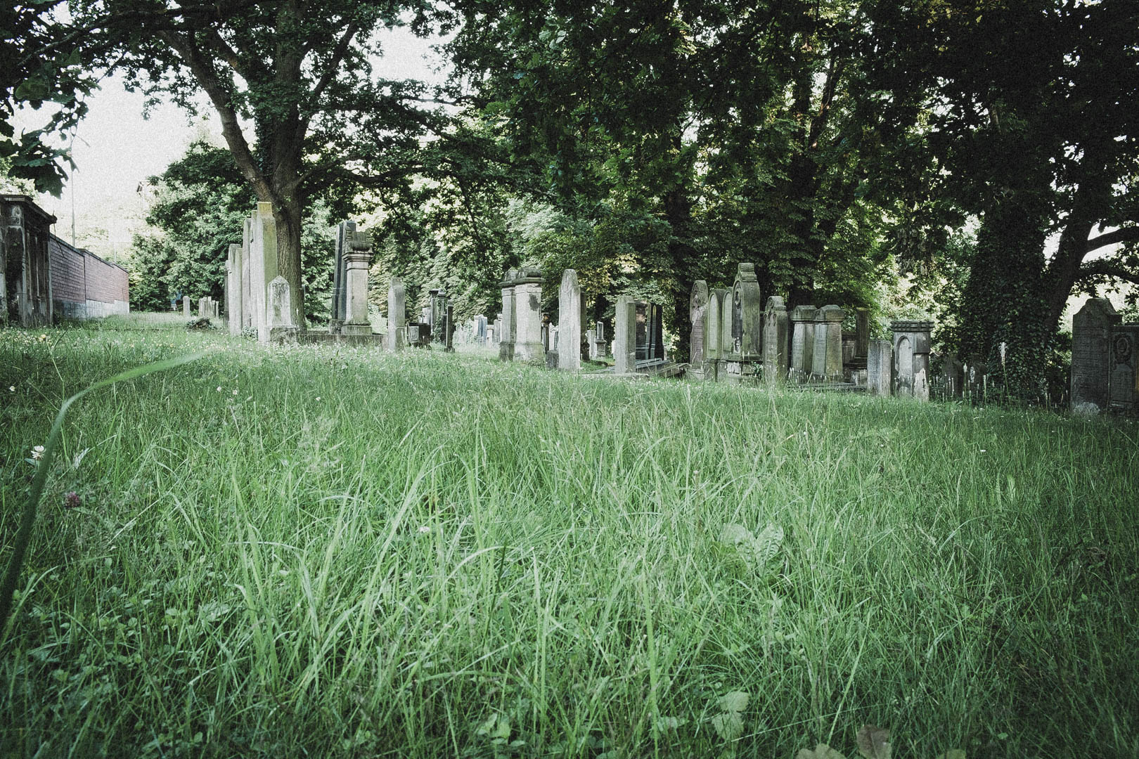 Jüdischer Friedhof Kassel-Bettenhausen